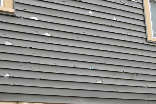 Best Shed Removal  in Alpharetta, GA